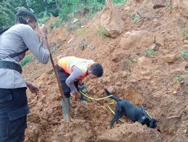 Polisi terjunkan anjing pelacak untuk mencari korban longsor.(Dok)