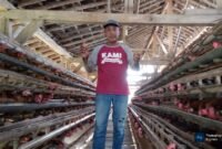 Peternak Kendal Subakir mendukung rencana pemerintah mengucurkan Rp20 triliun untuk peternak.(Wawasannews)