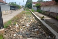 Kondisi salah satu saluran irigasi di Desa Turunrejo, Kecamatan Brangsong, Kendal yang dipenuhi tumpukan sampah kiriman dan air menggenang, meningkatkan risiko banjir saat hujan turun. (Istimewa/Wawasannews)