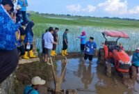 Perwakilan BRIN, PT PGN Tbk, dan Pemerintah Kabupaten Jepara meninjau langsung kegiatan penerapan teknologi pertanian adaptif di lahan sawah pesisir Jepara, Rabu (17/12/2025). ( Istimewa/Wawasannews)