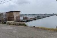 Deretan tambak di wilayah pesisir Kendal terlihat tergenang air pasang, menggambarkan dampak rob menahun yang dialami petambak setempat. (Istimewa/Wawasannews)