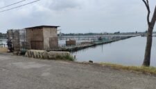 Deretan tambak di wilayah pesisir Kendal terlihat tergenang air pasang, menggambarkan dampak rob menahun yang dialami petambak setempat. (Istimewa/Wawasannews)