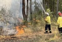 Petugas pemadam kebakaran dari Dinas Taman Nasional dan Satwa Liar di darat dekat titik kebakaran Bulahdelah. (Istimewa/Wawasannews)