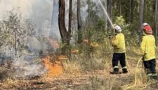 Petugas pemadam kebakaran dari Dinas Taman Nasional dan Satwa Liar di darat dekat titik kebakaran Bulahdelah. (Istimewa/Wawasannews)