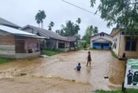 Situasi banjir bandang yang merendam sejumlah kecamatan di Provinsi Aceh. (Istimewa/Wawasannews)