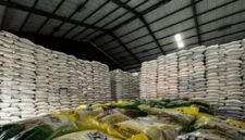 Tumpukan karung beras Cadangan Beras Pemerintah (CBP) tersimpan di gudang Bulog Cabang Surakarta, Jawa Tengah. (Istimewa/Wawasannews)