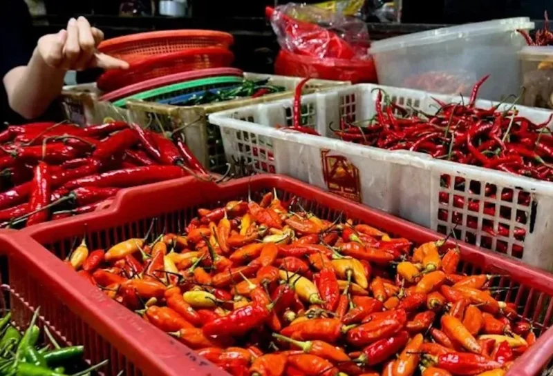Arsip Foto - Komoditas cabai rawit merah, hijau, dan cabai merah keriting. (Istimewa/Wawasannews) 