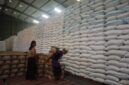Pekerja memindahkan karung beras di Gudang Bulog sebagai persiapan penyaluran bantuan pangan bagi masyarakat penerima manfaat di Kabupaten Kendal. Foto : Wawasannews.com