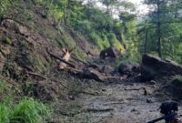 Akses Jalan Damarwulan-Tempur, Kecamatan Keling, Kabupaten Jepara, Jawa Tengah, tertutup material tanah longsor, sehingga akses jalan warga tertutup. (Istimewa/Wawasannews)