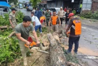 Sejumlah personel gabungan melakukan evakuasi pohon tumbang akibat tiupan angin kencang di Kecamatan Undaan, Kabupaten Kudus, Jawa Tengah, Senin (30/3/2026).  (Istimewa/Wawasannews)