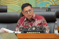 Anggota Komisi I DPR RI Mulyadi di kompleks parlemen, Jakarta. (Istimewa/Wawasannews)