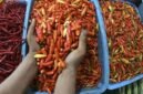 Arsip foto - Pedagang mengambil cabai rawit merah untuk ditimbang di Pasar Senen, Jakarta. (Istimewa/Wawasannews).