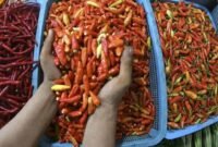 Arsip foto - Pedagang mengambil cabai rawit merah untuk ditimbang di Pasar Senen, Jakarta. (Istimewa/Wawasannews).