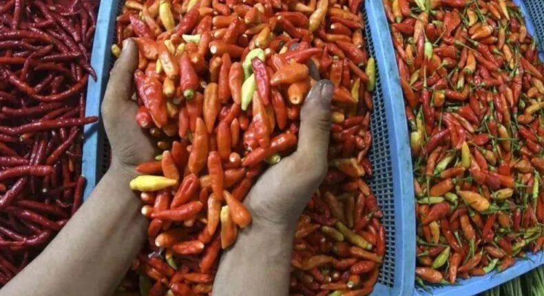 Harga Pangan Nasional Masih Membara, Cabai Rawit Tembus Rp74 Ribu per Kg
