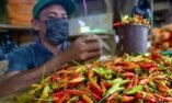 Update Harga Pangan Nasional: Cabai Rp52 Ribu, Beras Tetap Stabil