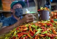 Iluatrasi - Seorang pedagang menyortir cabai rawit di salah satu tempat penjualan cabai. (Istimewa/Wawasannews)