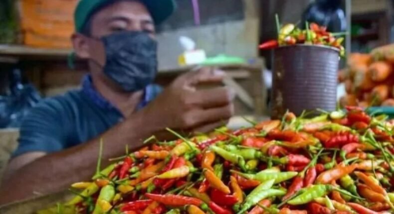 Update Harga Pangan Nasional: Cabai Rp52 Ribu, Beras Tetap Stabil