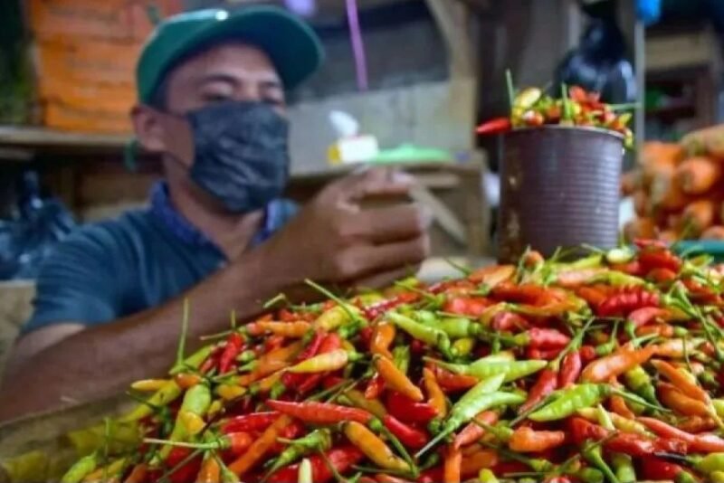 Iluatrasi - Seorang pedagang menyortir cabai rawit di salah satu tempat penjualan cabai. (Istimewa/Wawasannews)