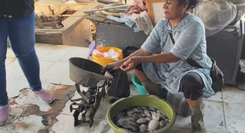 Rob Terjang Pesisir Kendal, Harga Ikan di TPI Bandengan Justru Turun