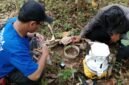  Proses penelitian lapangan bersama tim akademisi dalam pengambilan sampel lingkungan di kawasan Karst Gombong Selatan, Kebumen. (Istimewa/wawasannews).