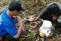 Proses penelitian lapangan bersama tim akademisi dalam pengambilan sampel lingkungan di kawasan Karst Gombong Selatan, Kebumen. (Istimewa/wawasannews).