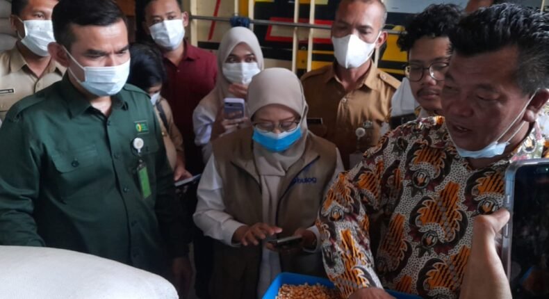 Anggota DPRD Kendal  Sebut Jagung SPHP Bantu Ringankan Beban Peternak Ayam