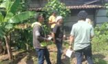 Dikira Tangisan dari Depan Rumah, Warga Ringinarum Temukan Bayi di Pekarangan