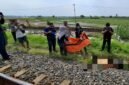 Petugas kepolisian bersama tim medis melakukan evakuasi terhadap korban pria tanpa identitas yang meninggal dunia usai tertabrak kereta api kargo di jalur rel Desa Sudipayung, Kecamatan Ngampel, Kabupaten Kendal, Minggu (17/5/2026). (Istimewa/Wawasannews).
