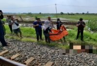 Petugas kepolisian bersama tim medis melakukan evakuasi terhadap korban pria tanpa identitas yang meninggal dunia usai tertabrak kereta api kargo di jalur rel Desa Sudipayung, Kecamatan Ngampel, Kabupaten Kendal, Minggu (17/5/2026). (Istimewa/Wawasannews).