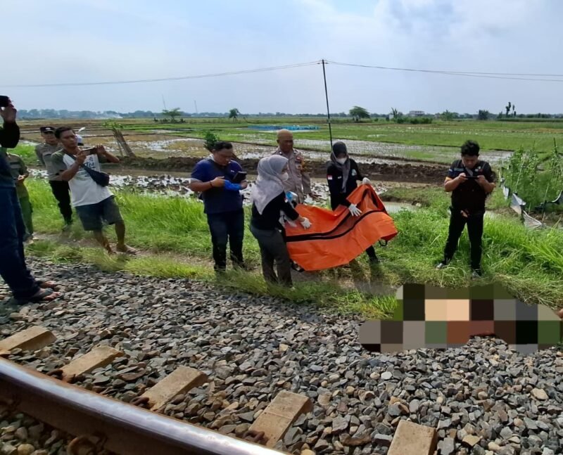 Petugas kepolisian bersama tim medis melakukan evakuasi terhadap korban pria tanpa identitas yang meninggal dunia usai tertabrak kereta api kargo di jalur rel Desa Sudipayung, Kecamatan Ngampel, Kabupaten Kendal, Minggu (17/5/2026). (Istimewa/Wawasannews).