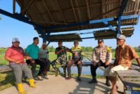 Petani bersama PPL, Babinsa, dan Bhabinkamtibmas berkoordinasi usai Gerakan Pengendalian (Gardal) hama tikus di persawahan Desa Margomulyo, Kecamatan Pegandon, Kabupaten Kendal, Rabu (10/6/2026). (Istimewa/Wawasannews)