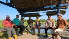 Petani bersama PPL, Babinsa, dan Bhabinkamtibmas berkoordinasi usai Gerakan Pengendalian (Gardal) hama tikus di persawahan Desa Margomulyo, Kecamatan Pegandon, Kabupaten Kendal, Rabu (10/6/2026). (Istimewa/Wawasannews)